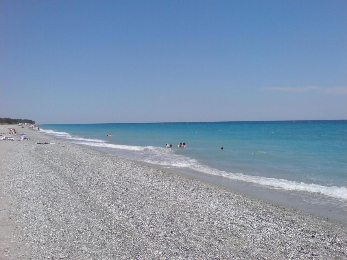 Hébergement de vacances Avellana Luxury *