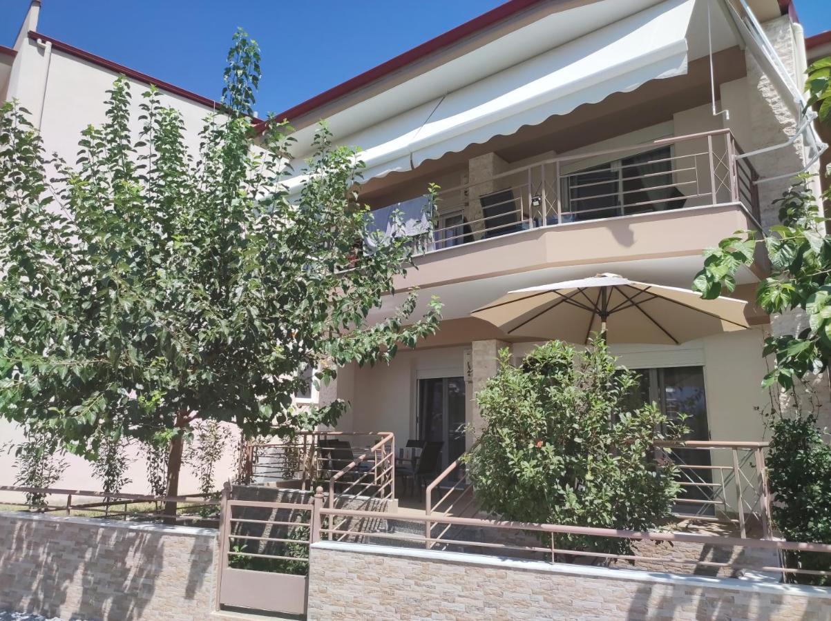 Avellana Luxury * Leptokaryá